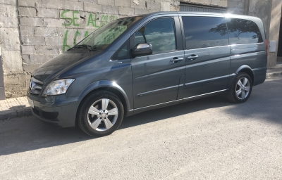 Mercedes Viano